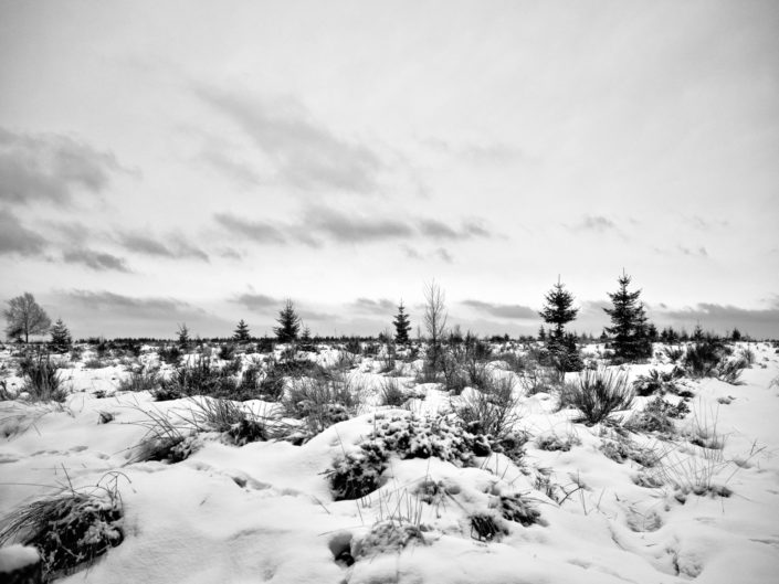 Fagne de la Gleize sous la neige